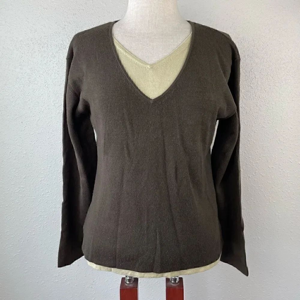 Passports Brown V-Neck Sweater Size S